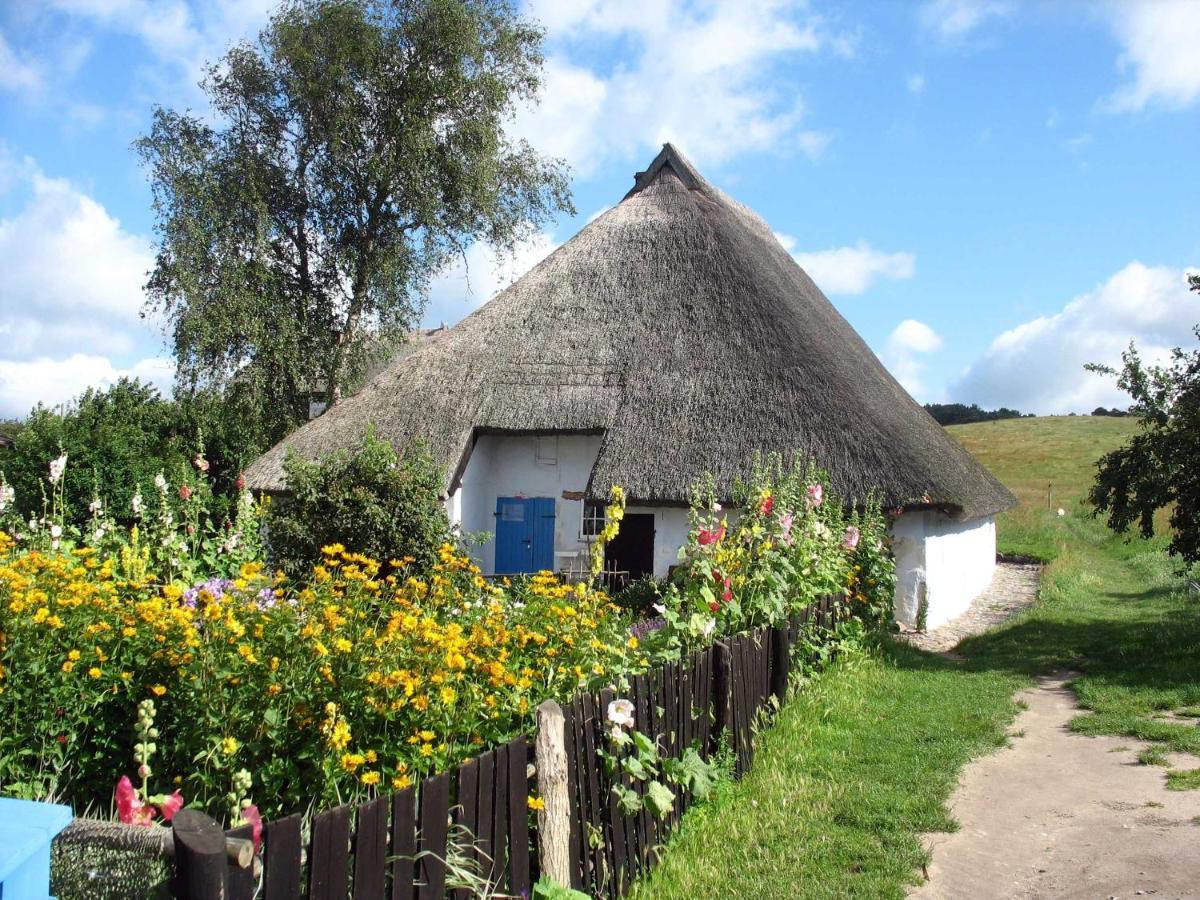 Ferienhaus Zum Boddenstrand Mit Ka Groß Zicker Exterior foto